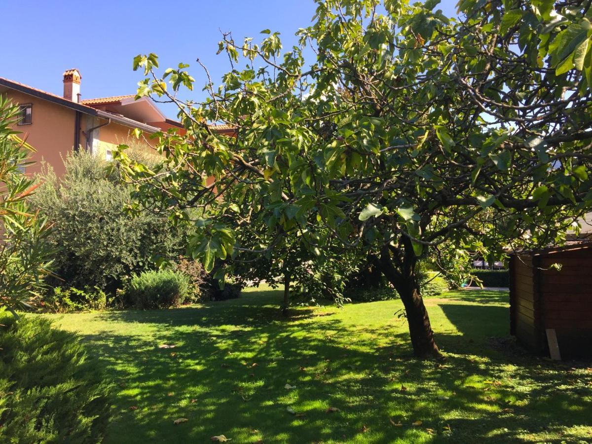 דונגו Abies Lago Di Como מראה חיצוני תמונה