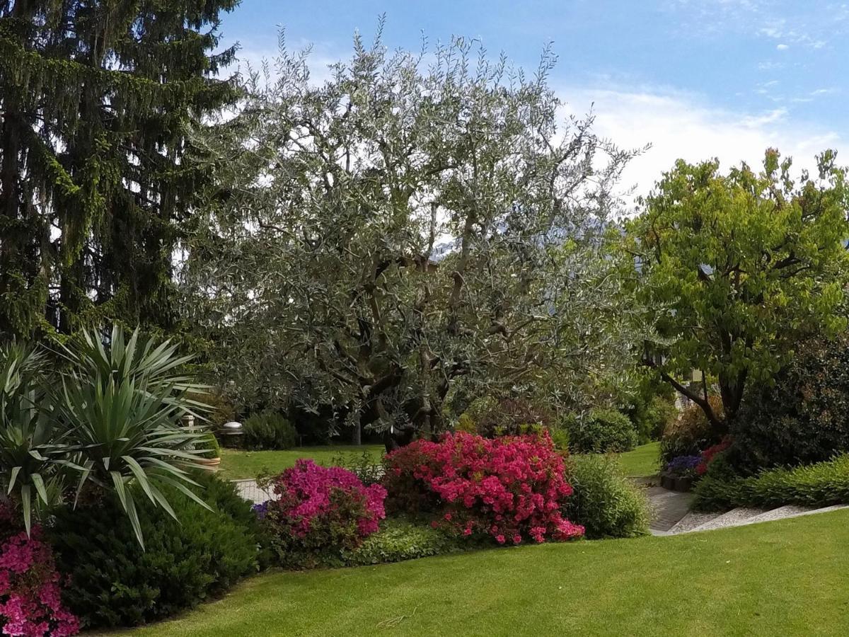 דונגו Abies Lago Di Como מראה חיצוני תמונה